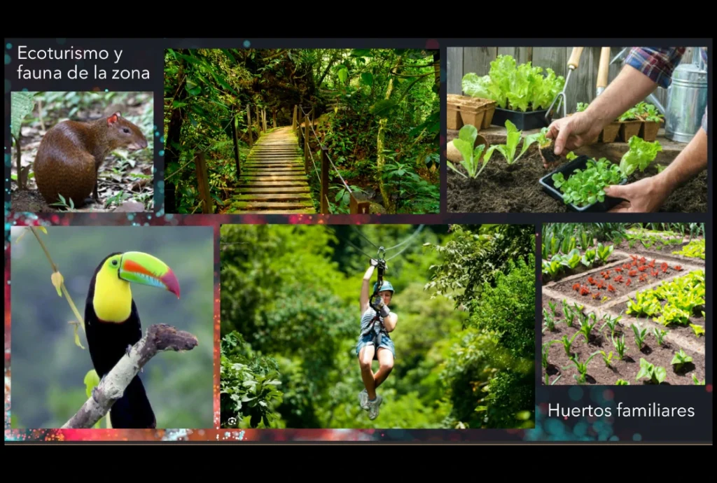 YAAXIL Agricultural Zone